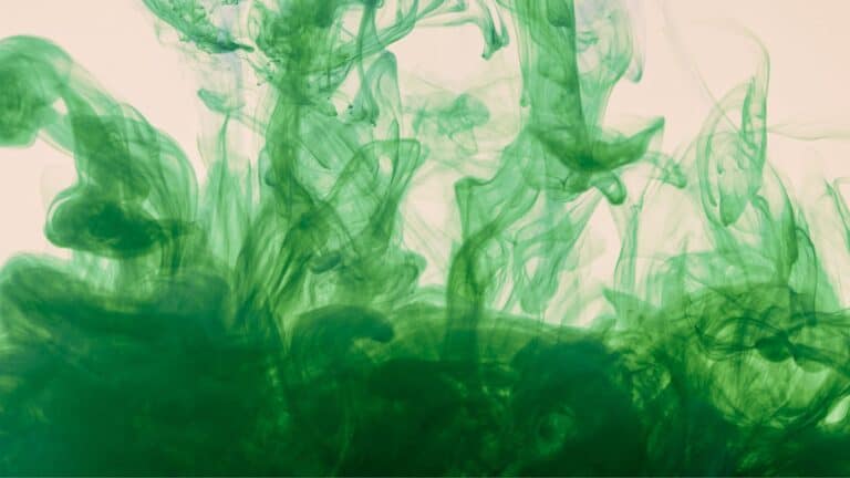 Super Green+ von Unicity: Dein täglicher Energie-Boost aus der Natur